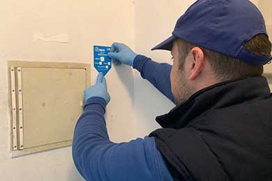 certificado-de-fumigacion-de-plagas